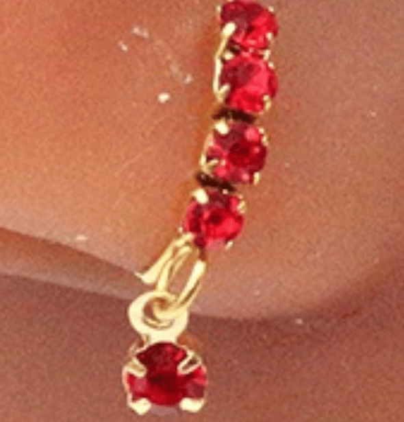 Nose Piercing Hoop Ring Hinged Butterfly Zircon Septum Pierc - Image 3