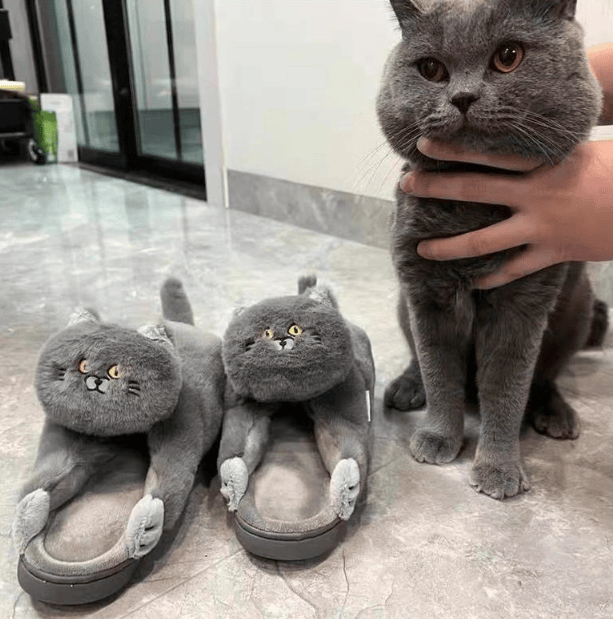 Cuddly Hug Cat Slippers Women Men Winter Home Slides Floor Shoes - Image 51