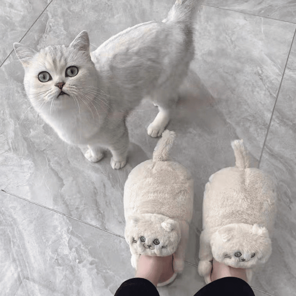 Cuddly Hug Cat Slippers Women Men Winter Home Slides Floor Shoes - Image 7