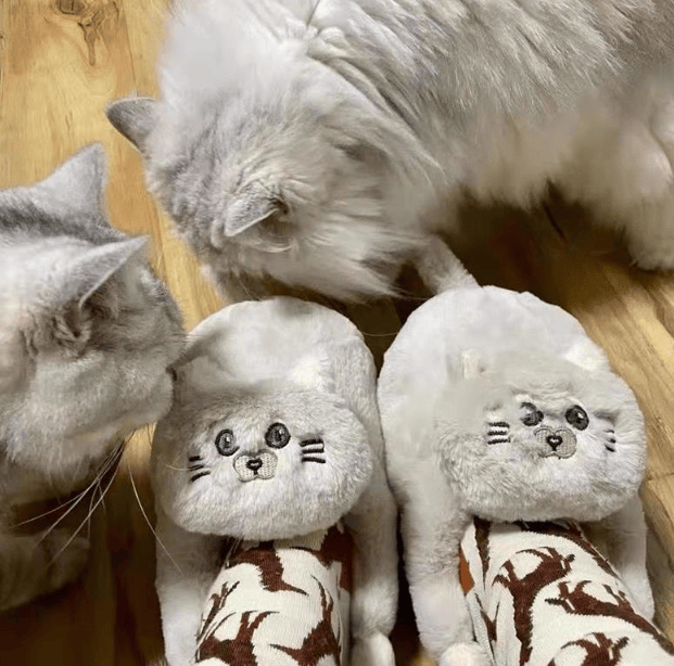Cuddly Hug Cat Slippers Women Men Winter Home Slides Floor Shoes - Image 4