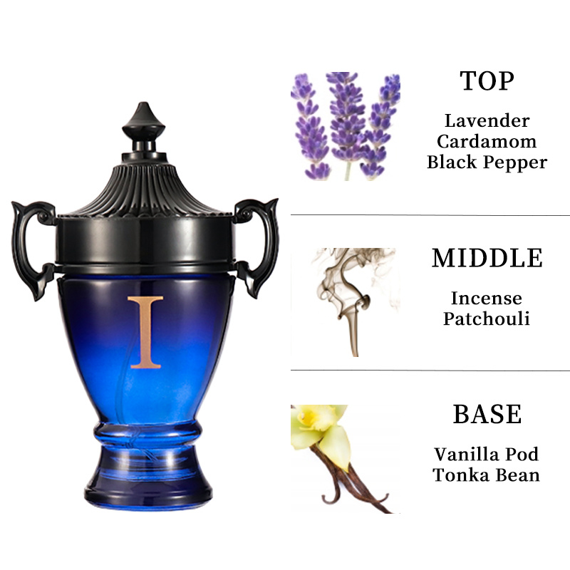 3.4 Fl Oz Men's Eau De Toilette Spray, Long-Lasting Perfume, Notes Of Sea, Grapefruit And Mandarin Orange Scent,- Irresistible Luxury Perfumes - Image 10