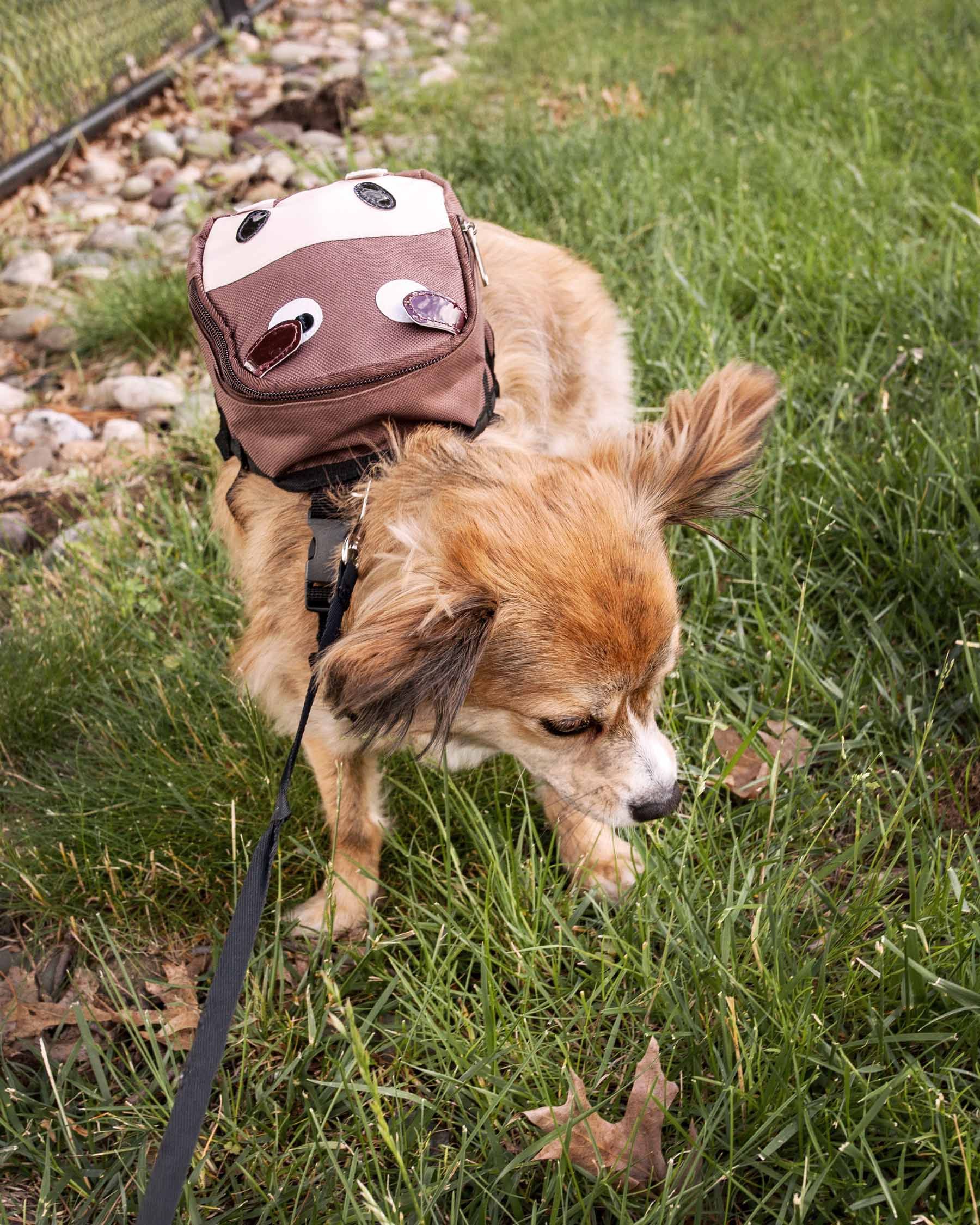 Pet Life 'Mooltese' Large-Pocketed Compartmental Animated Dog Harness Backpack - Image 8