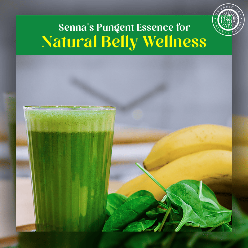 Pride of India | Senna Whole Leaf Powder 8 oz (227 gm) | Bitter & Pungent | Add it to smoothies, juices, hot water | Non-Bioengineered, Caffein-Free, Gluten-Free, Vegan - Image 2