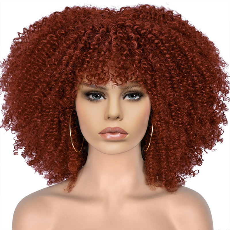 15Inch Curly Wigs for Black Women Afro Bomb Curly Wig - Image 26