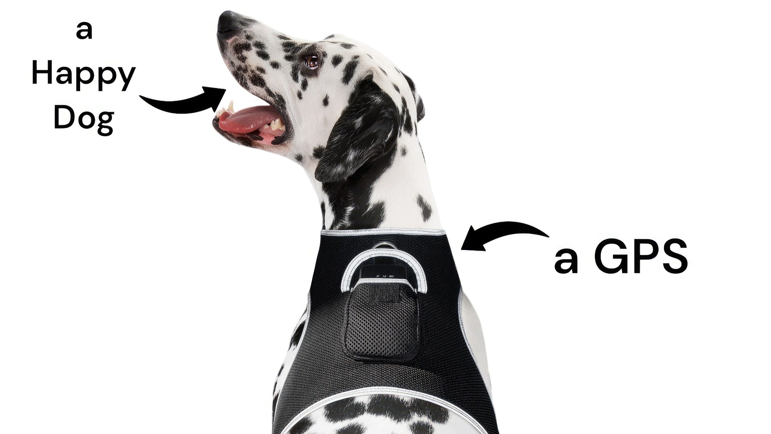 Wireless Portable GPS Cell Phone Pet Tracker Realtime Tracking Device Size:M - Image 2