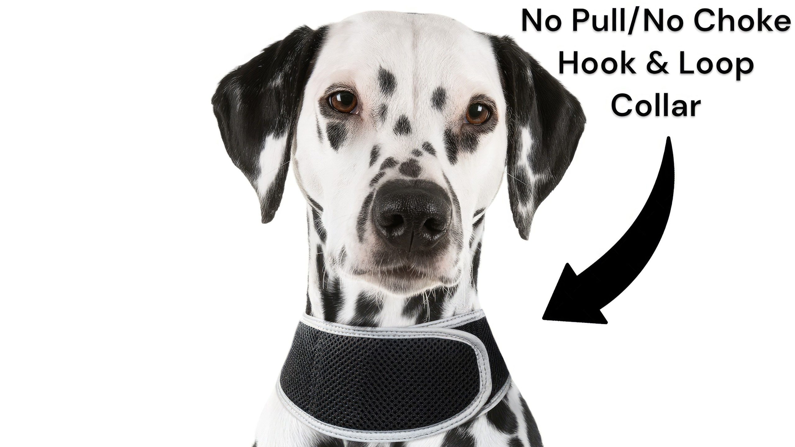 Wireless Portable GPS Cell Phone Pet Tracker Realtime Tracking Device Size:M - Image 11