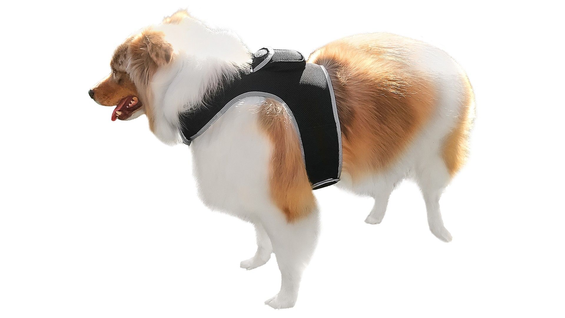 Wireless Portable GPS Cell Phone Pet Tracker Realtime Tracking Device Size:M - Image 13