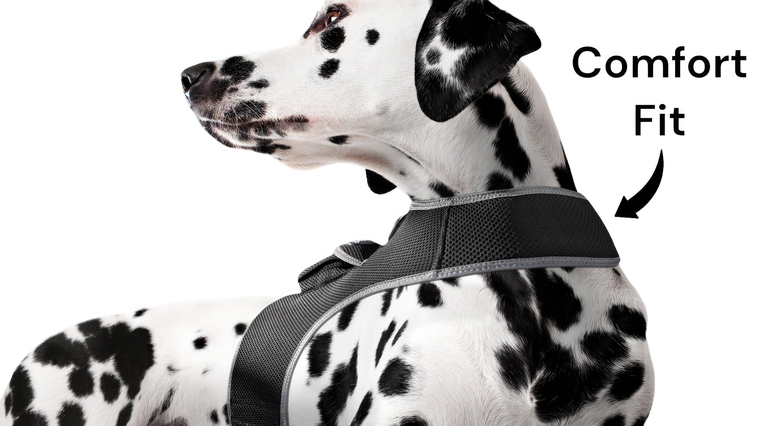Wireless Portable GPS Cell Phone Pet Tracker Realtime Tracking Device Size:M - Image 14