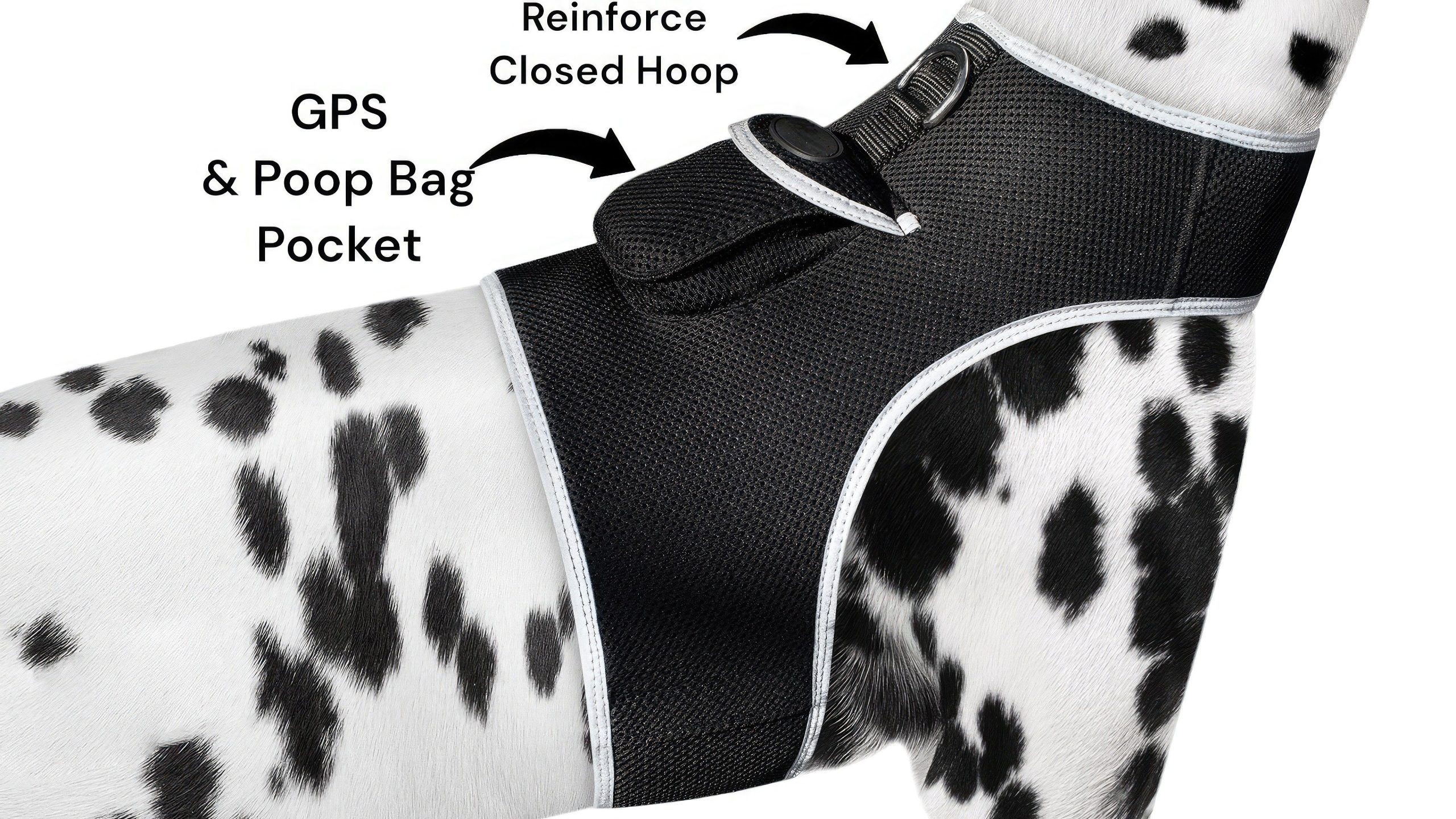 Wireless Portable GPS Cell Phone Pet Tracker Realtime Tracking Device Size:M - Image 15