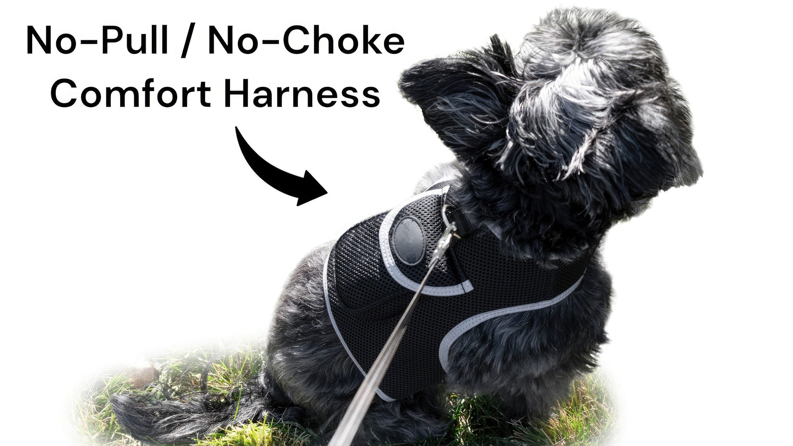 Wireless Portable GPS Cell Phone Pet Tracker Realtime Tracking Device Size:M - Image 16