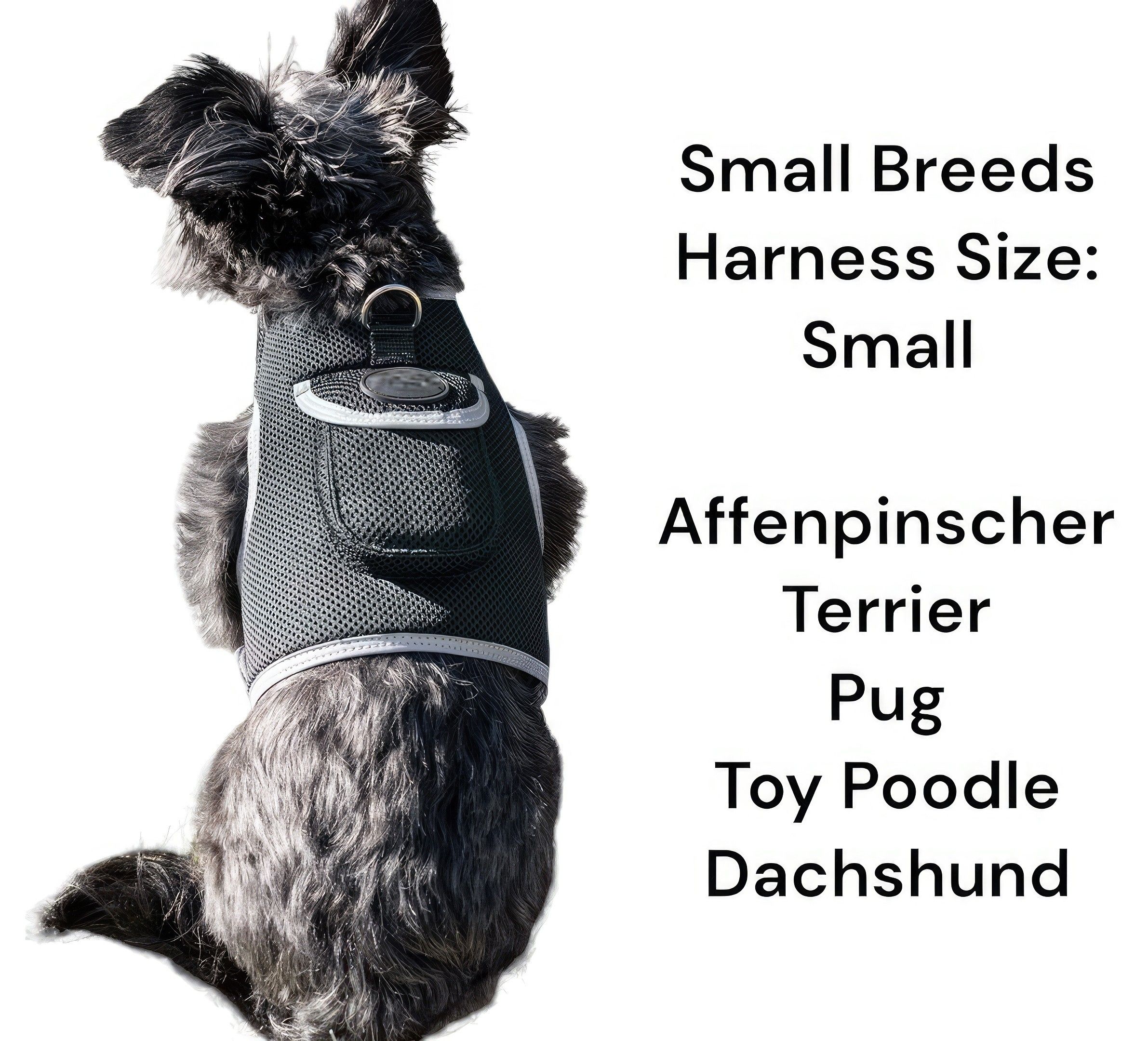 Wireless Portable GPS Cell Phone Pet Tracker Realtime Tracking Device Size:M - Image 17