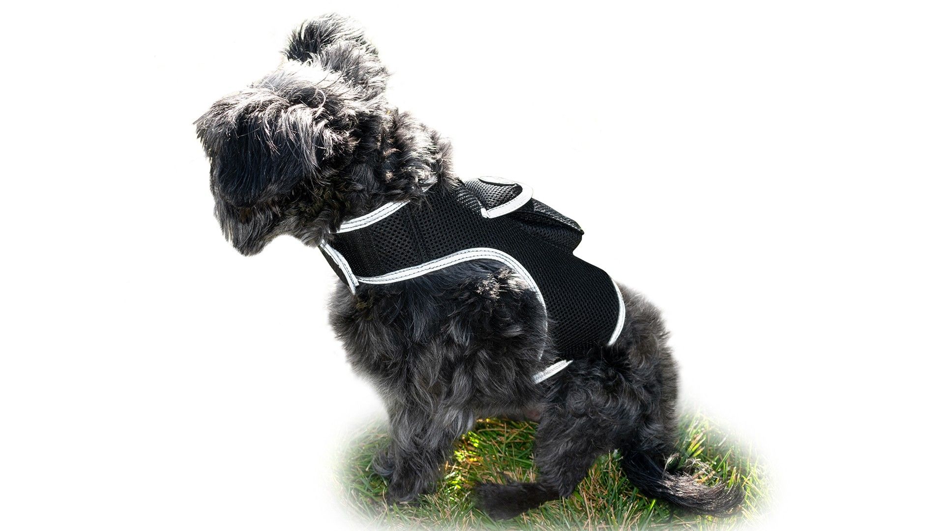 Wireless Portable GPS Cell Phone Pet Tracker Realtime Tracking Device Size:M - Image 18