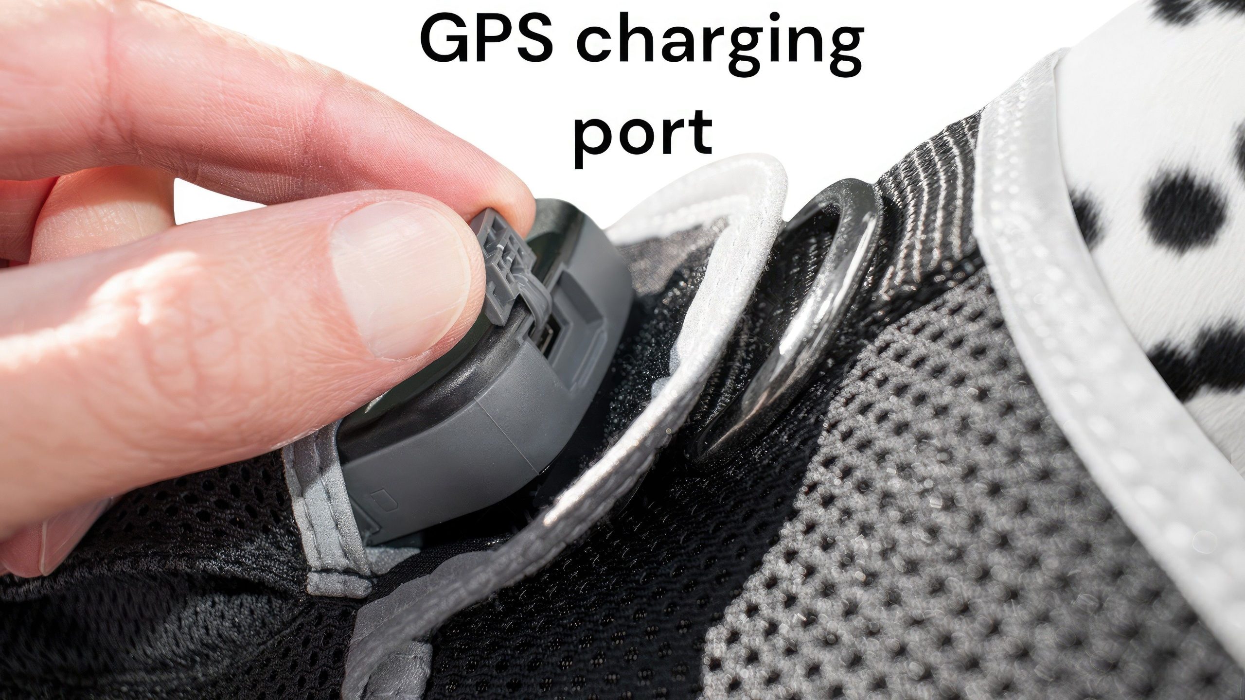 Wireless Portable GPS Cell Phone Pet Tracker Realtime Tracking Device Size:M - Image 20