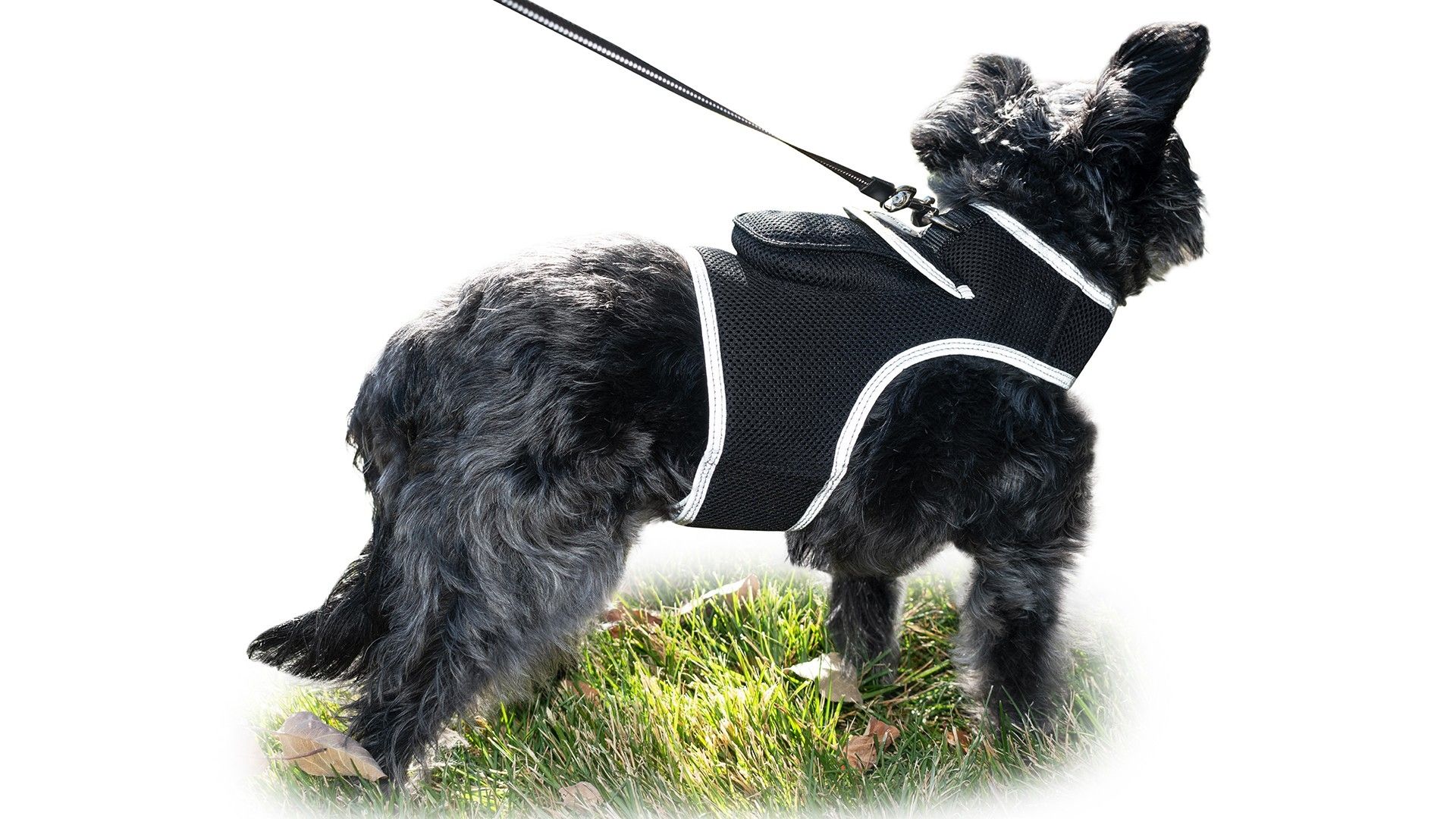 Wireless Portable GPS Cell Phone Pet Tracker Realtime Tracking Device Size:M - Image 3