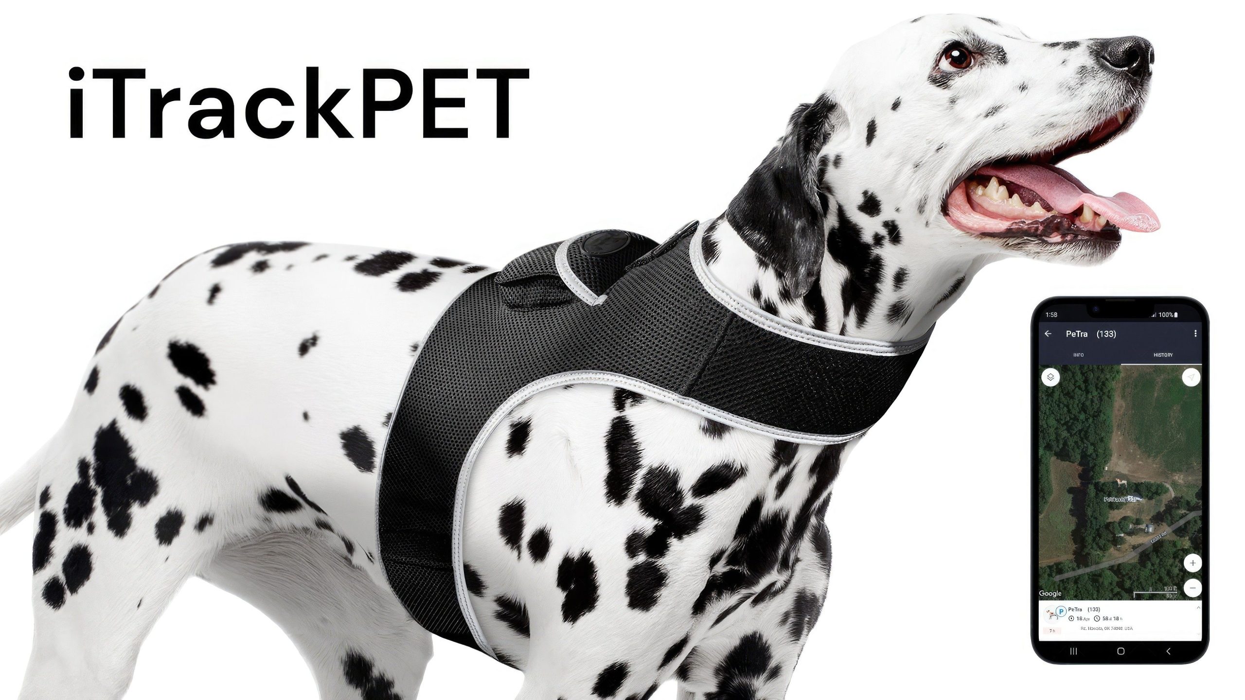 Wireless Portable GPS Cell Phone Pet Tracker Realtime Tracking Device Size:M - Image 5