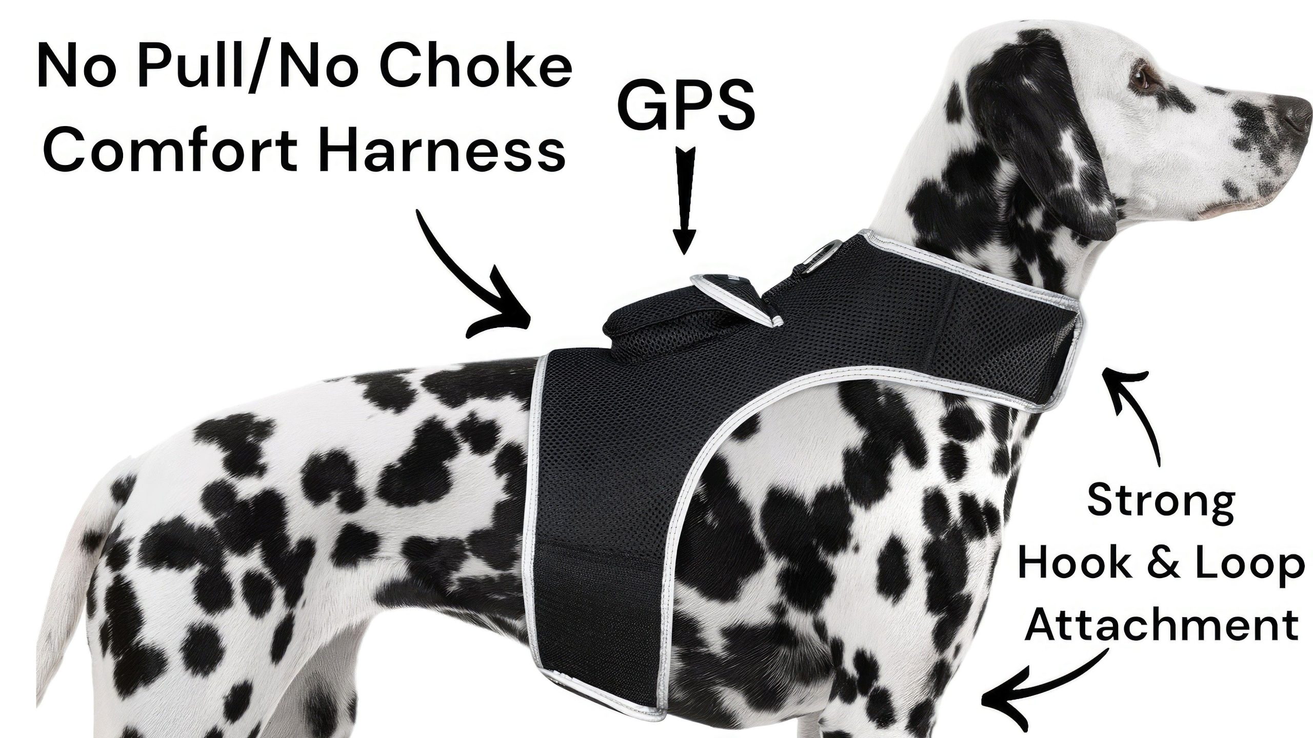 Wireless Portable GPS Cell Phone Pet Tracker Realtime Tracking Device Size:M - Image 8