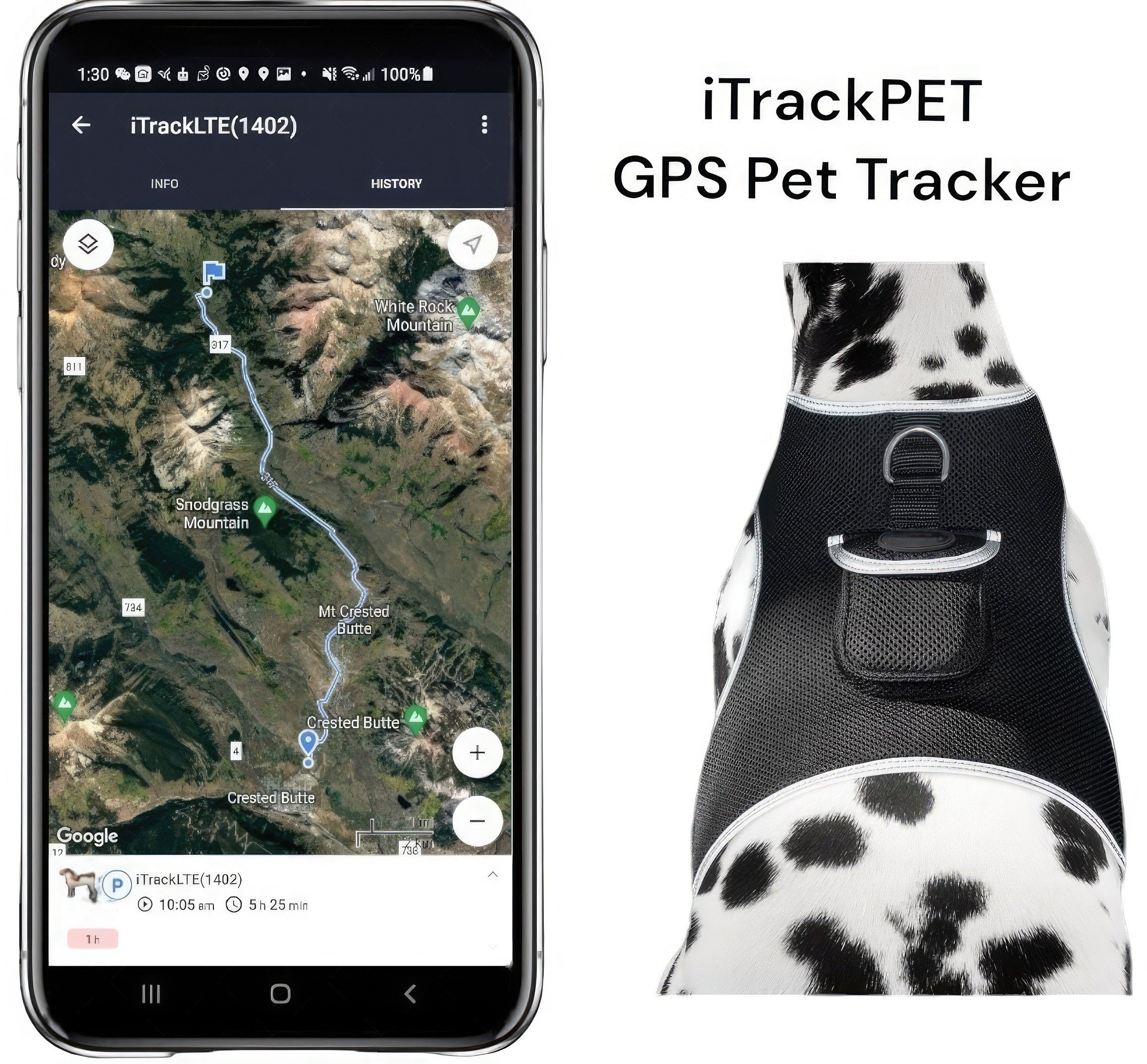 Wireless Portable GPS Cell Phone Pet Tracker Realtime Tracking Device Size:M - Image 10